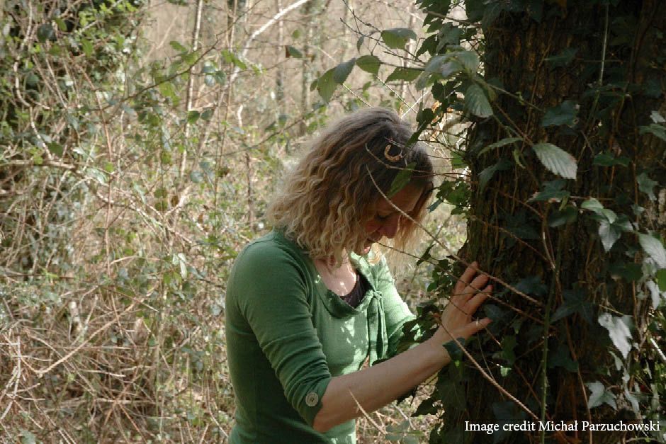 Shinrin - yoku (forest bathing)