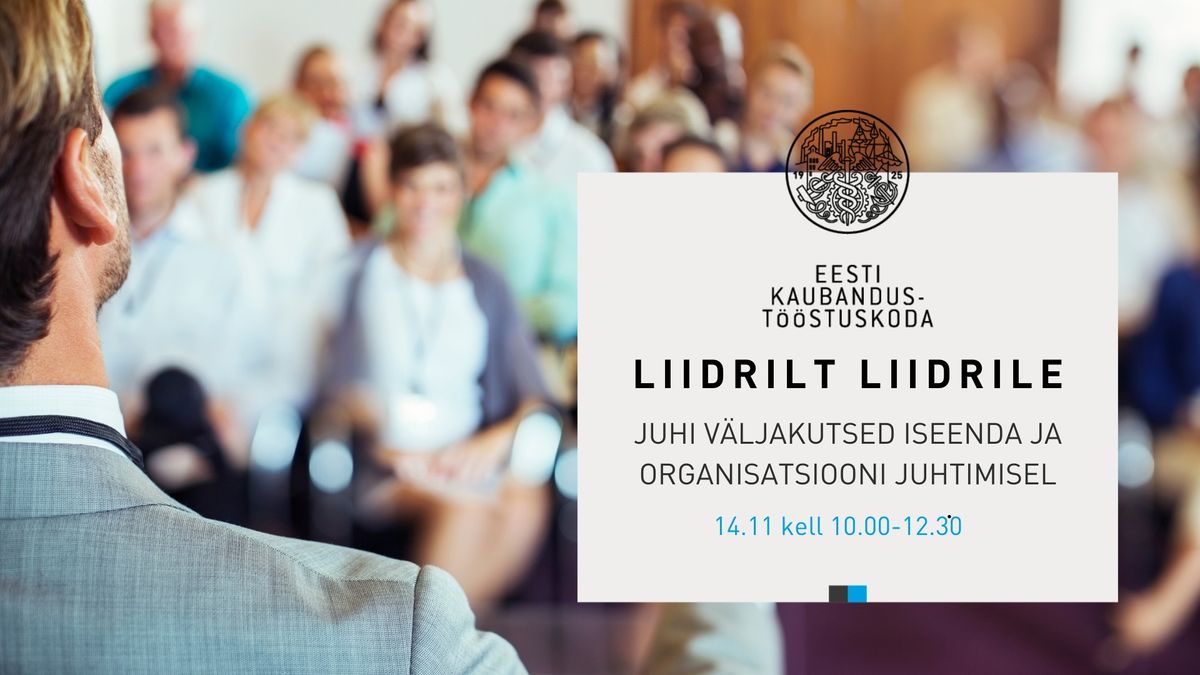 Liidrilt liidrile: kaasaegse juhi v\u00e4ljakutsed iseenda ja organisatsiooni juhtimisel