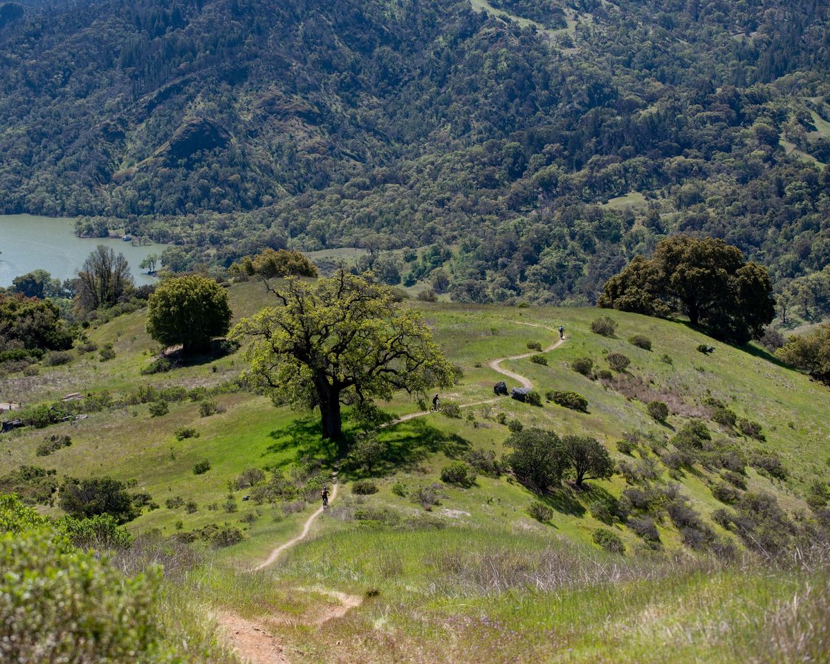 Lake Sonoma MTB Grasshopper #3