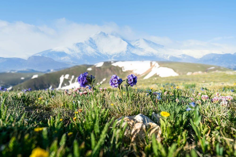 Colorado Rockies Backpacking