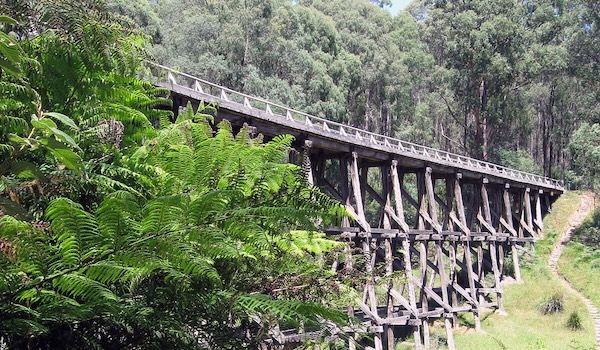 Bus Trip & Bushwalk: Noojee South Loop