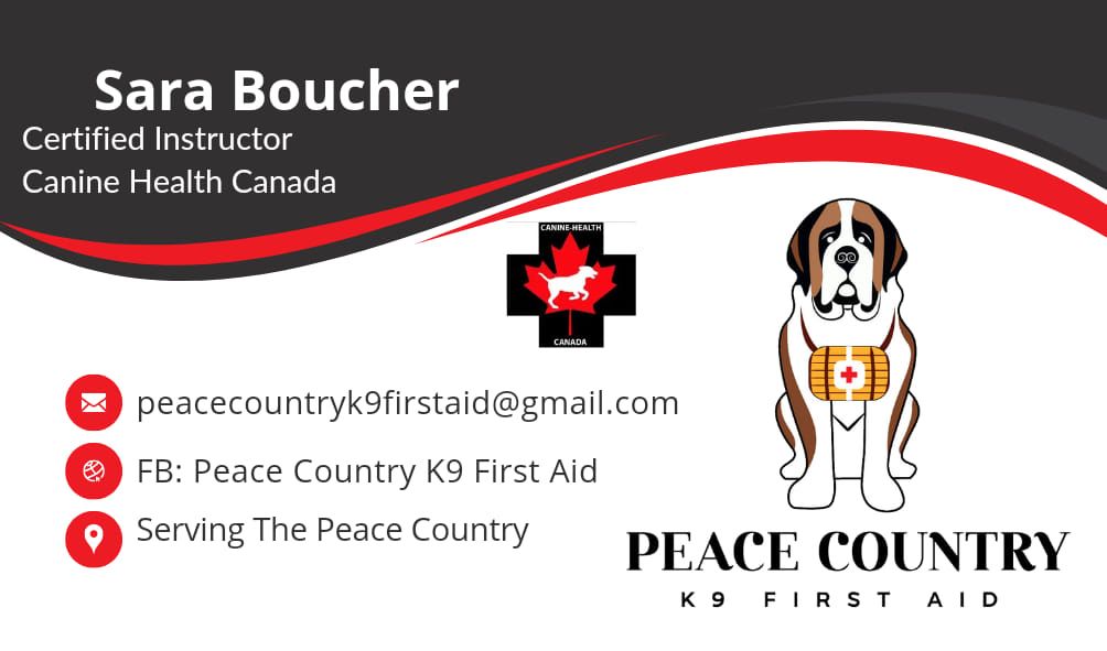 Canine CPR Emergency First Aid Courses