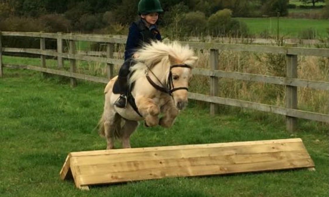 Nervous and Novice XC clinic 