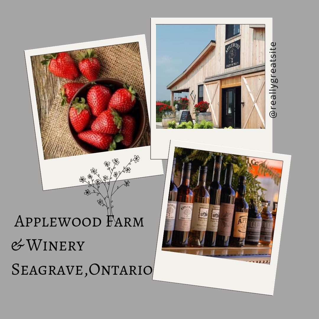 \ud83c\udf53Strawberry Social at Applewood Farm and Winery\ud83c\udf53