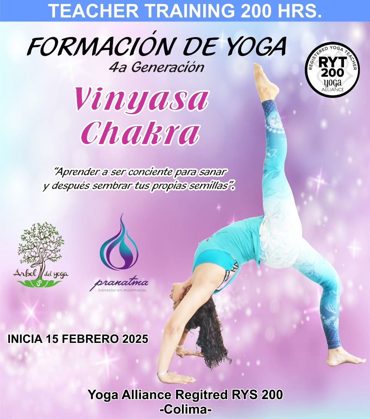 Formaci\u00f3n de Vinyasa Chakra Yoga