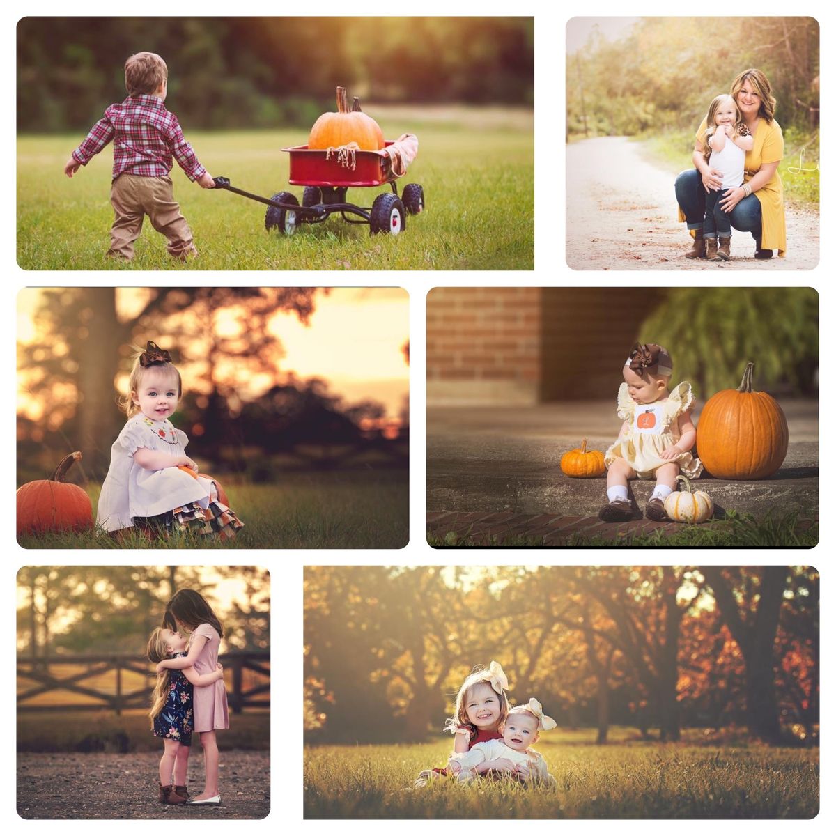 Fall Mini Sessions