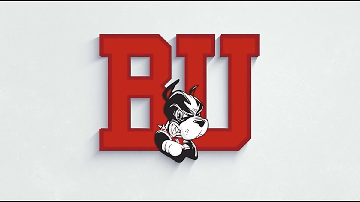 LIU Sharks at Boston University Terriers Mens Hockey at Agganis Arena