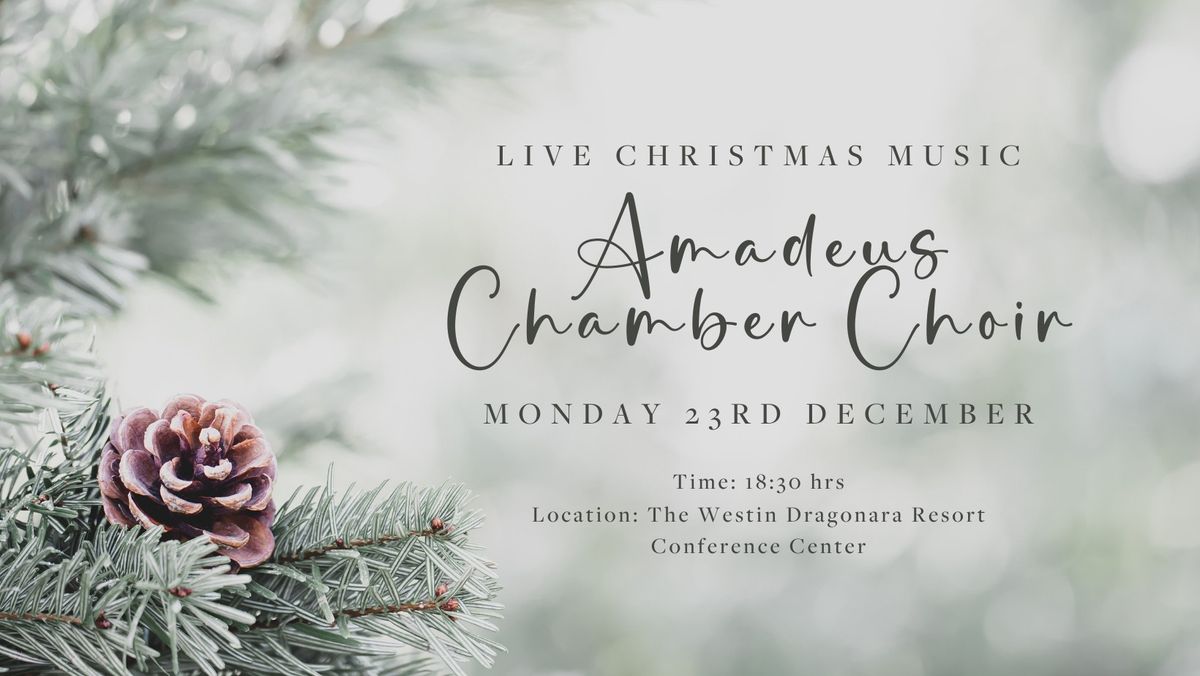 LIVE CHRISTMAS CHOIR - A WONDERFUL FAMILY EVENING (FREE)