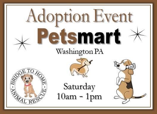 Adoption Event