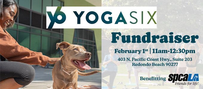 Yoga Fundraiser at Yoga Six in Redondo Beach!