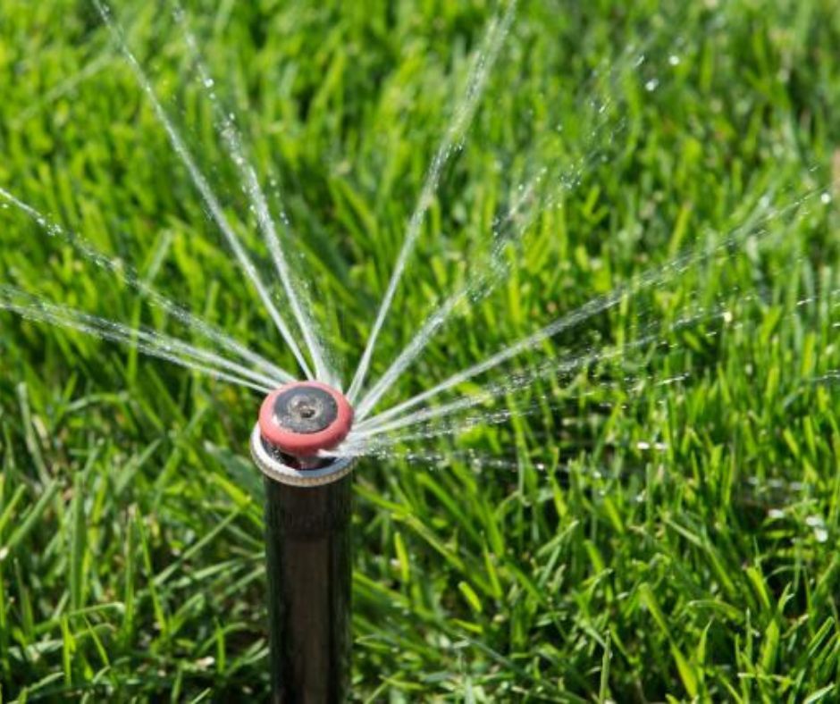 Healthier, Happier Yards: How to Save Water and Money!