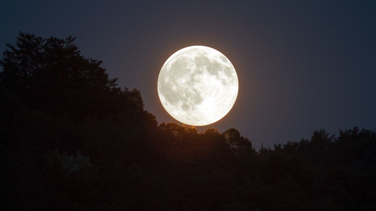 Full Moon Night Hike