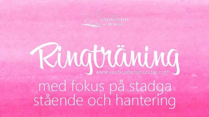 Ringtr\u00e4ning med fokus p\u00e5 stadga, st\u00e5ende och hantering, Gl\u00e4djehallen 