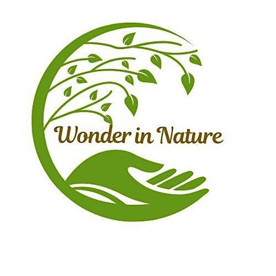 Wonder in Nature