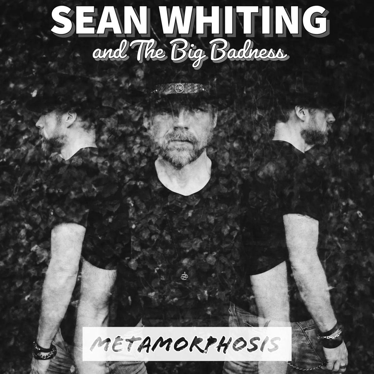 Sean Whiting and the Big Badness