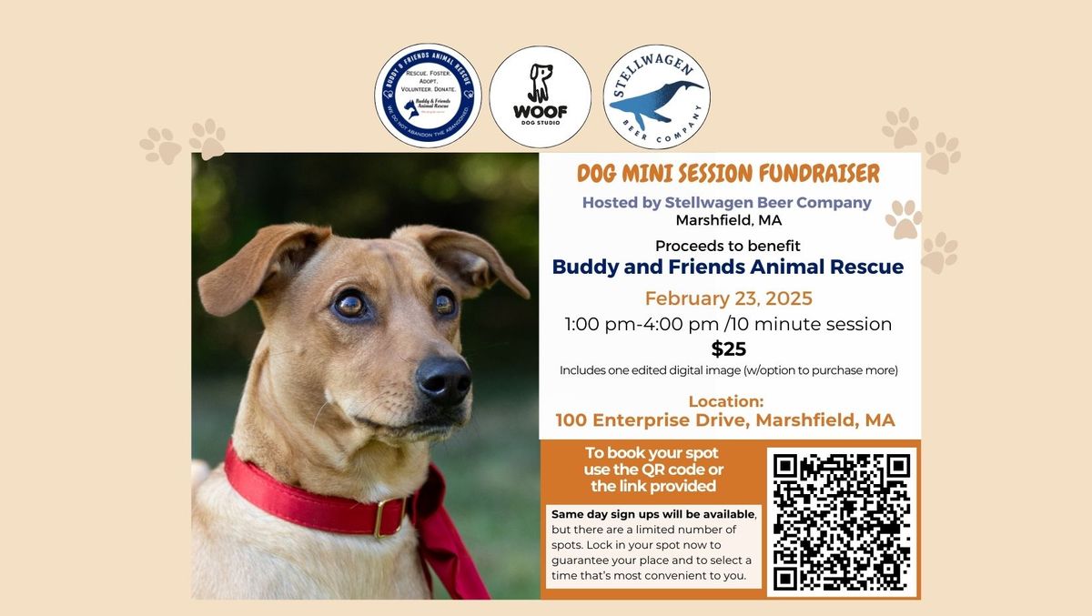 Dog Mini Session Fundraiser and adoption event to support Buddy & Friends Animal Rescue