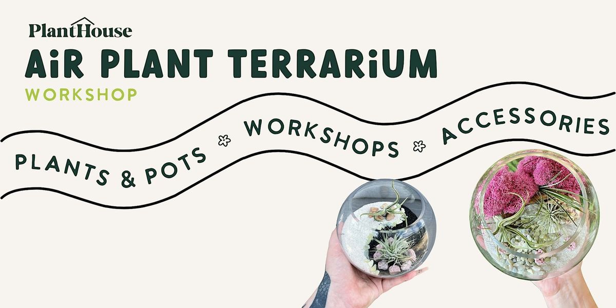 Air Plant Terrarium Workshop