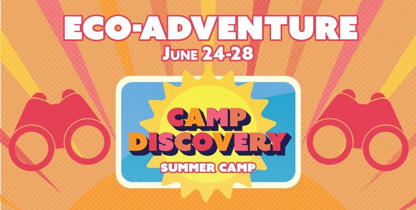 Eco-Adventure - Summer Camp Discovery