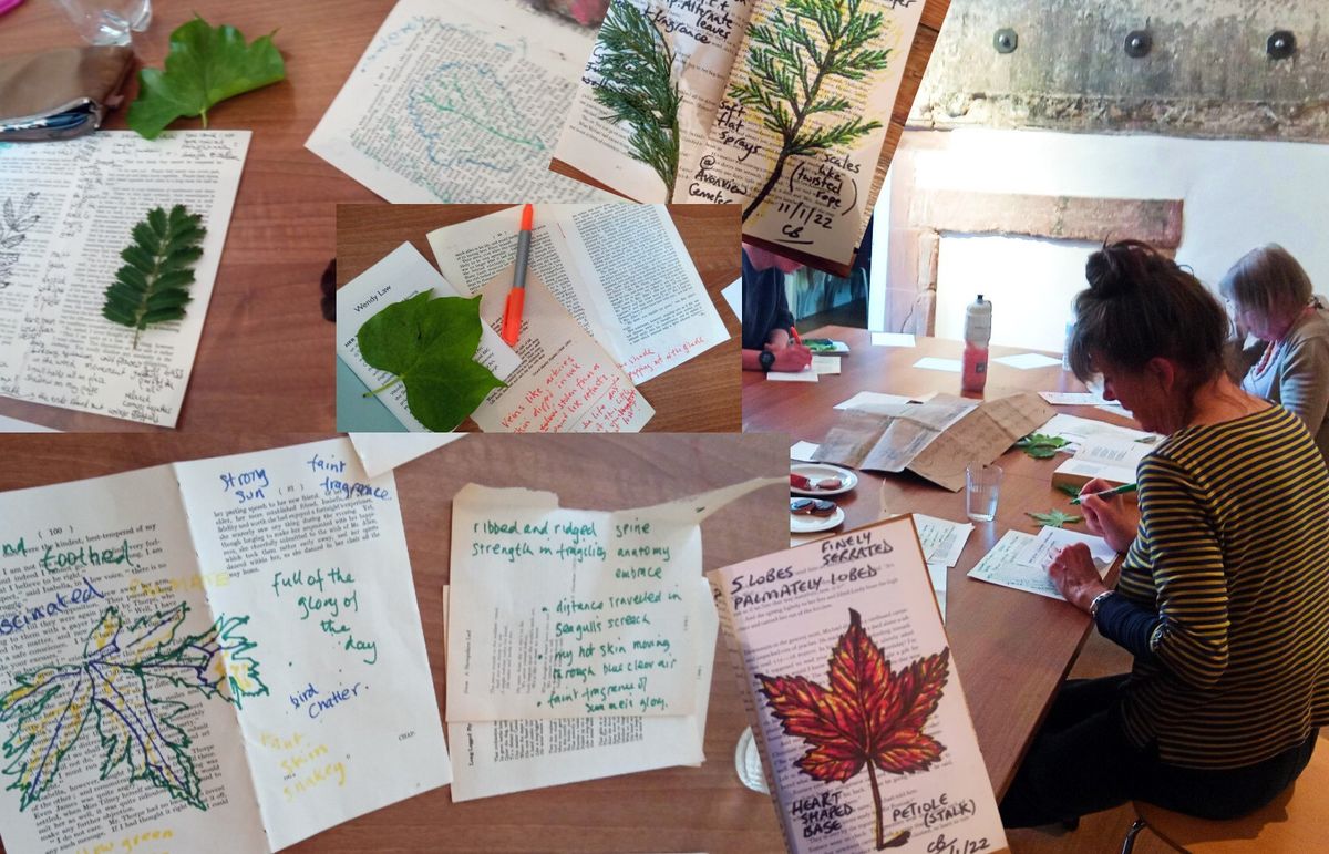 Leaf Sketching and Creative Writing Poetry Workshop with Caroline Burrows