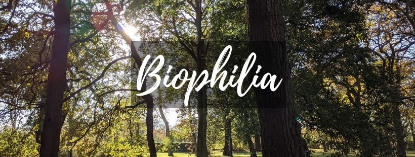 Guided Tour - Biophilia