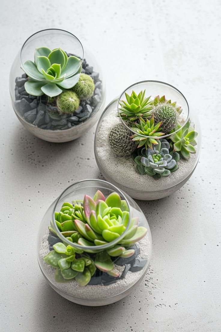 Succulent Terrarium Workshop