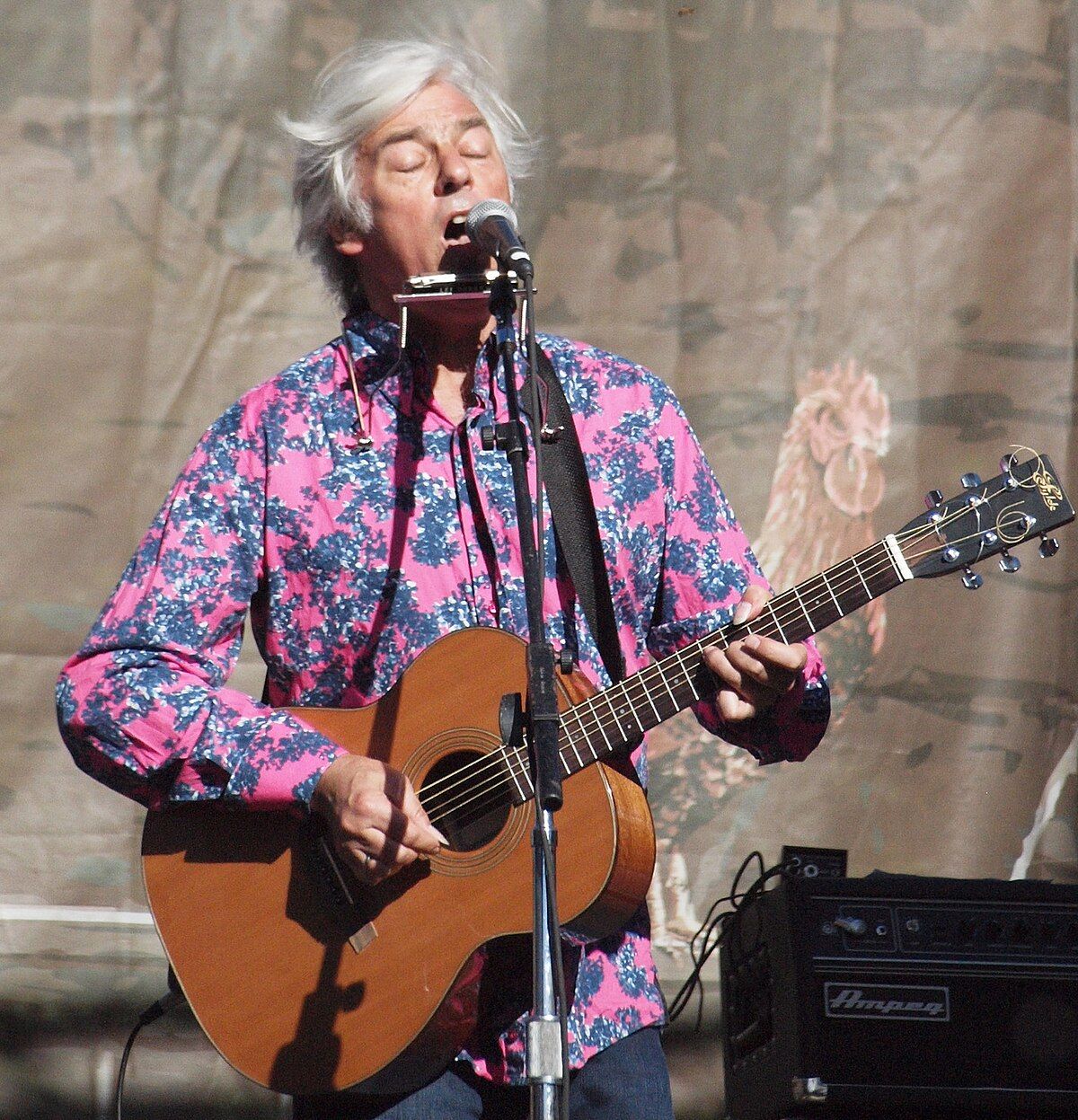 Robyn Hitchcock