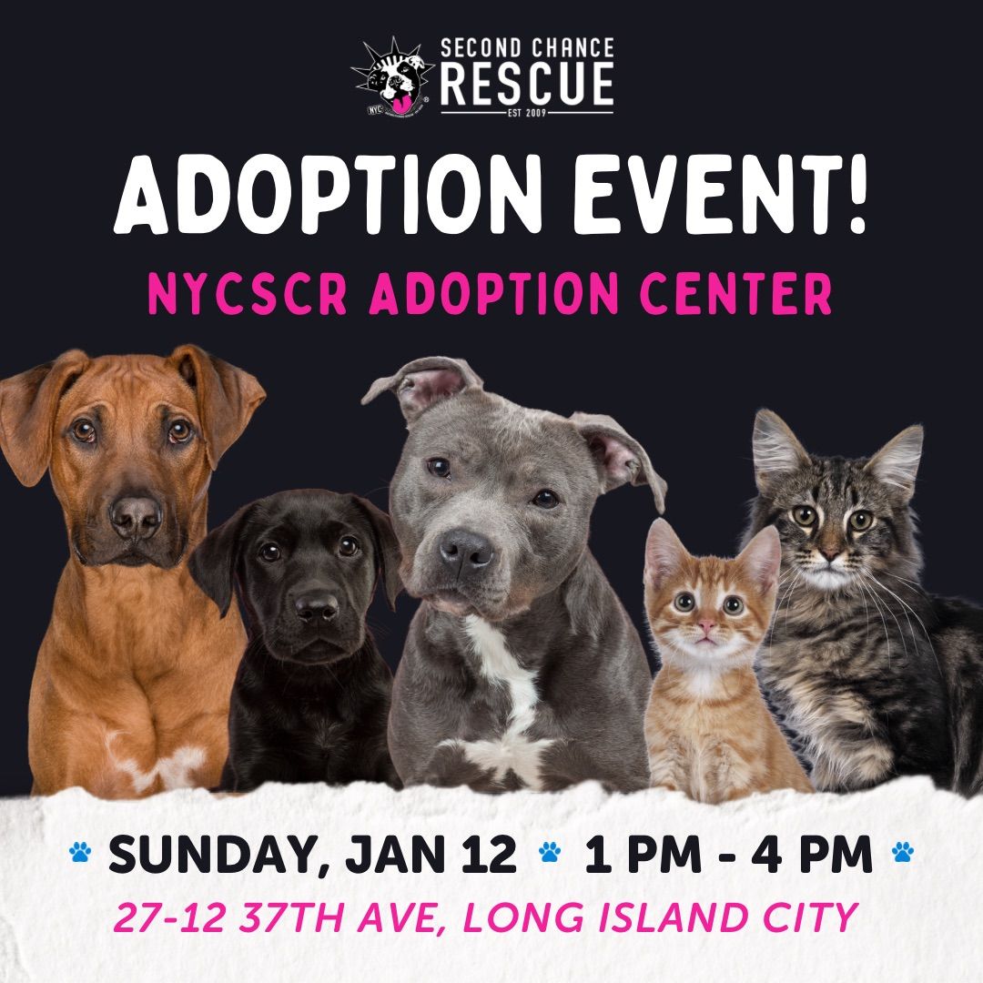 Adoption Event \ud83d\udc36\ud83d\udc31