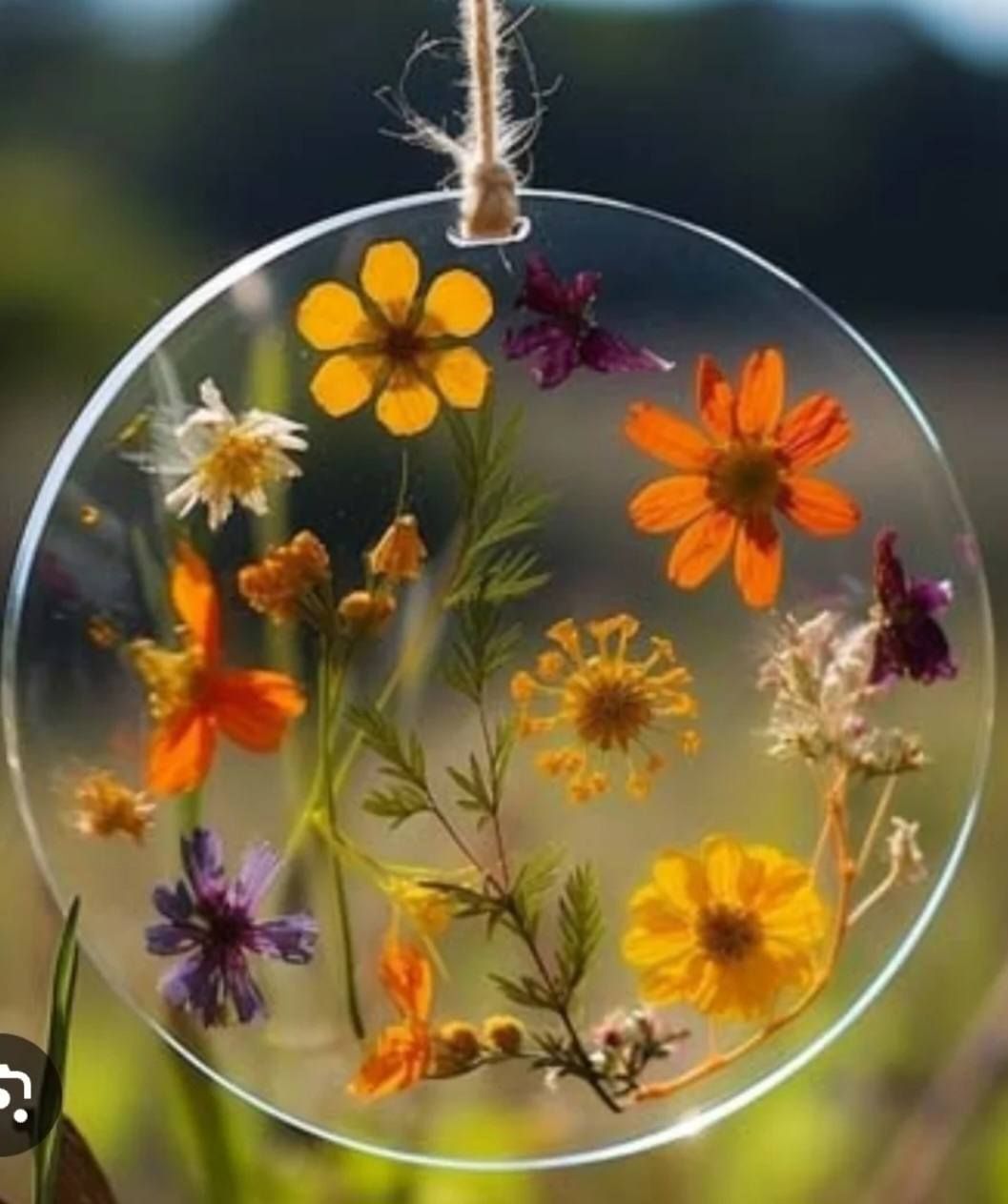 Dried Flower & Epoxy Suncatchers!