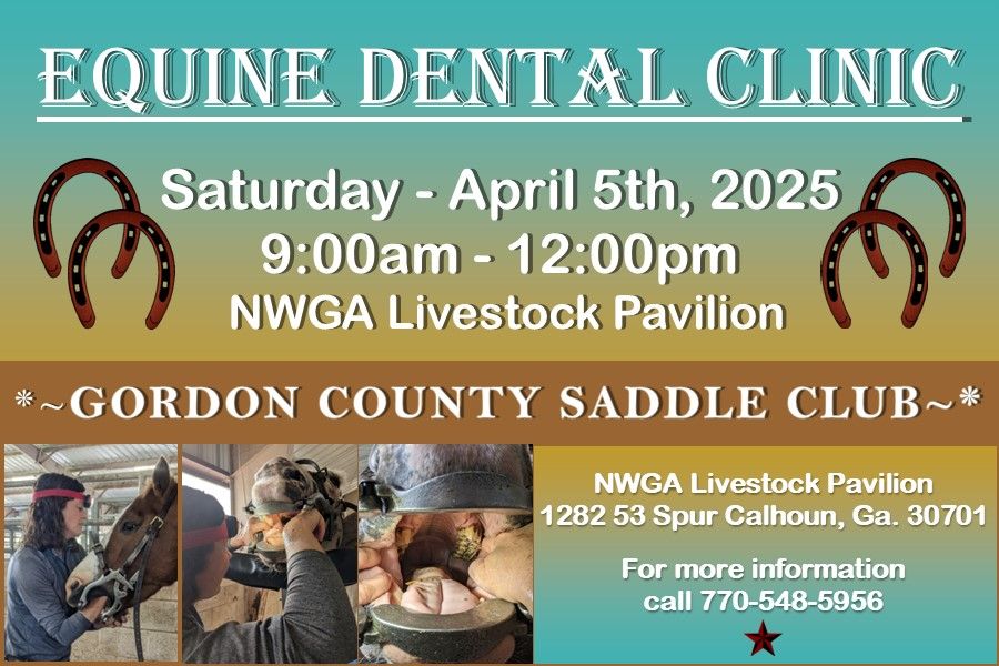 Equine Dental Clinic