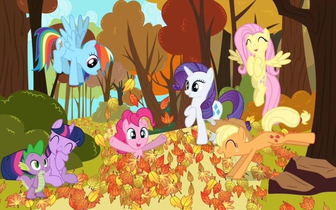 Pony Meet 3: 2024