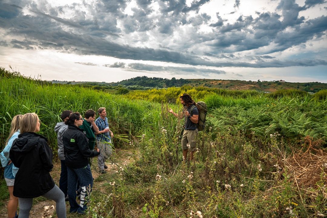 Wild Food Forage