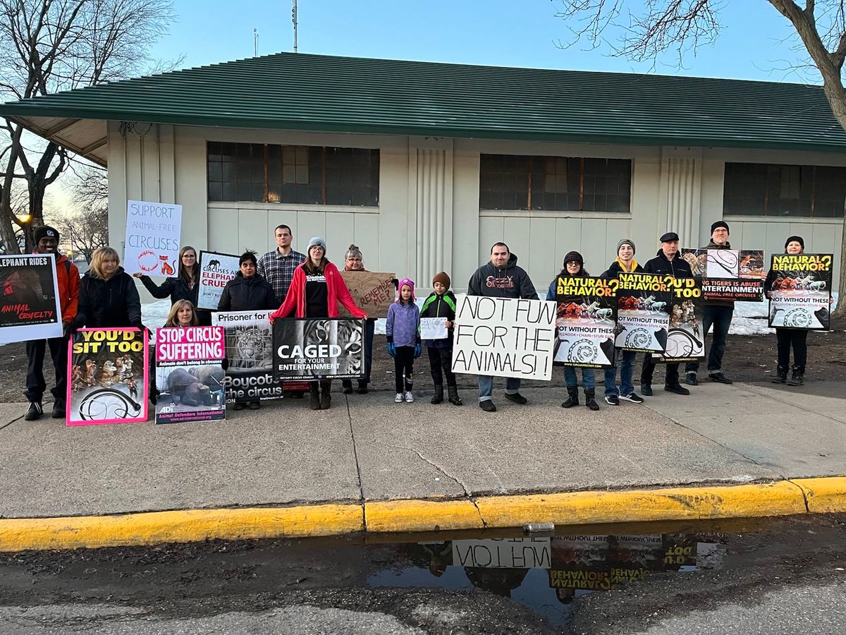 Osman Shrine Circus Protests 