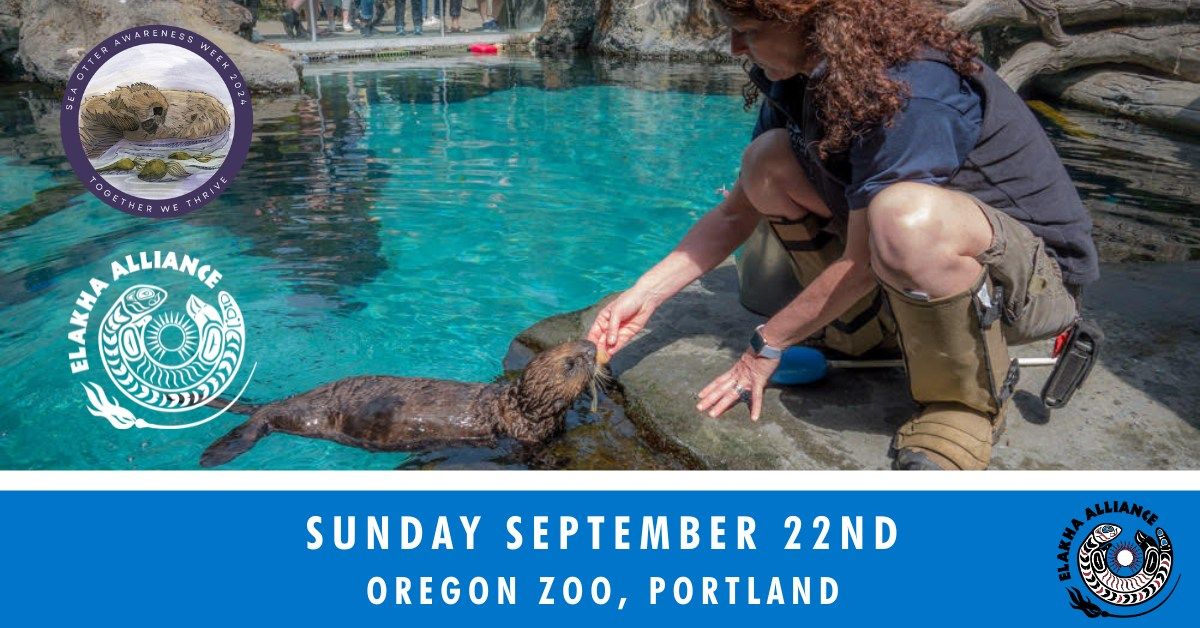 SOAW: Sea Otter Viewing Station at Oregon Zoo