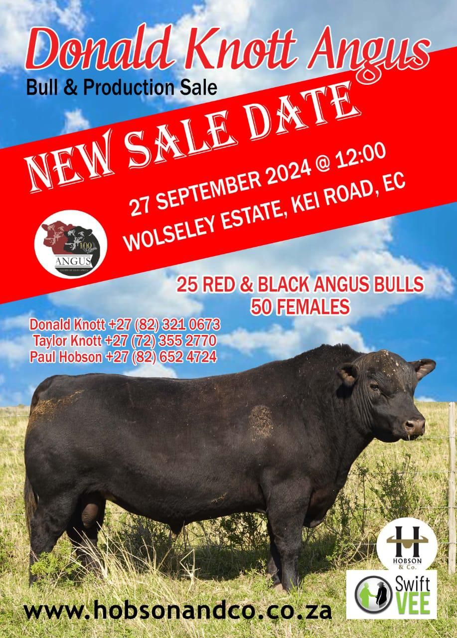 Donald Knott Angus Sale