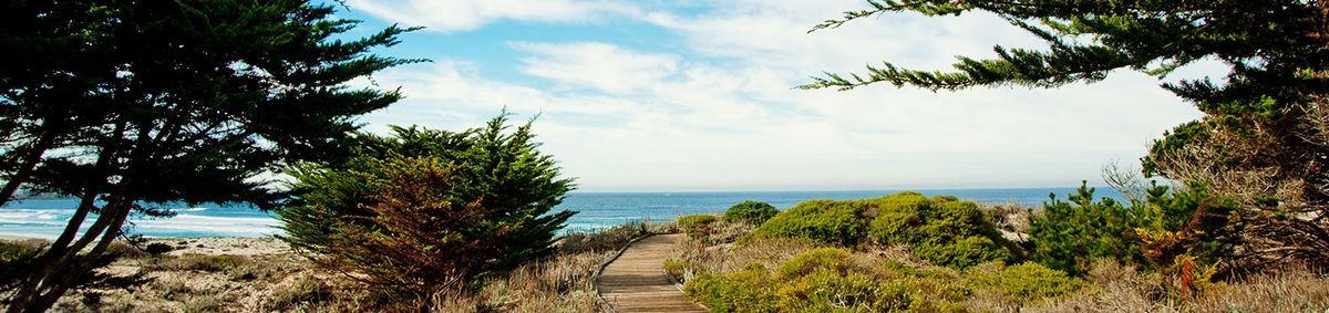 Yoga Retreat at Asilomar