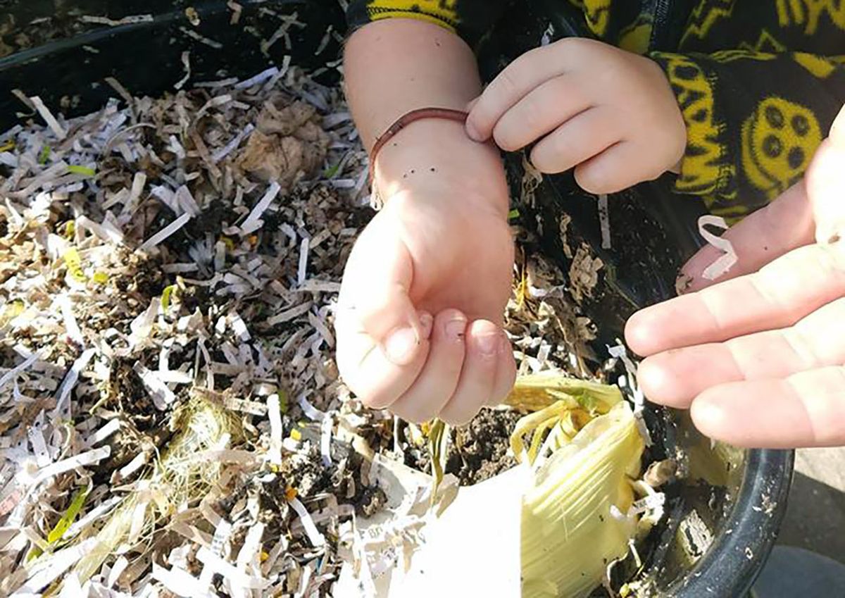 Intro to Composting with Worms, Make & Take