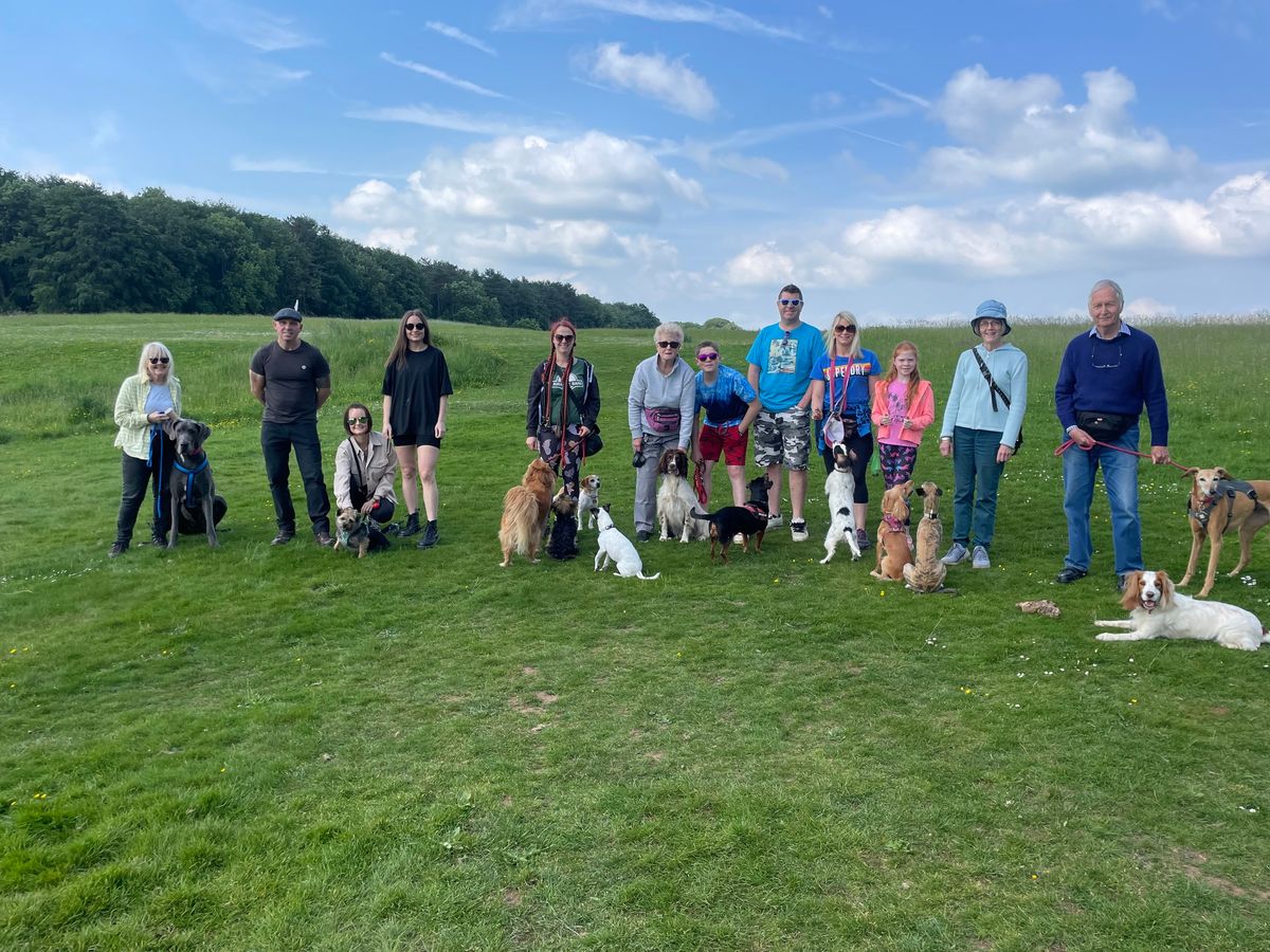 Jurassic Bark Pack Walk Bristol