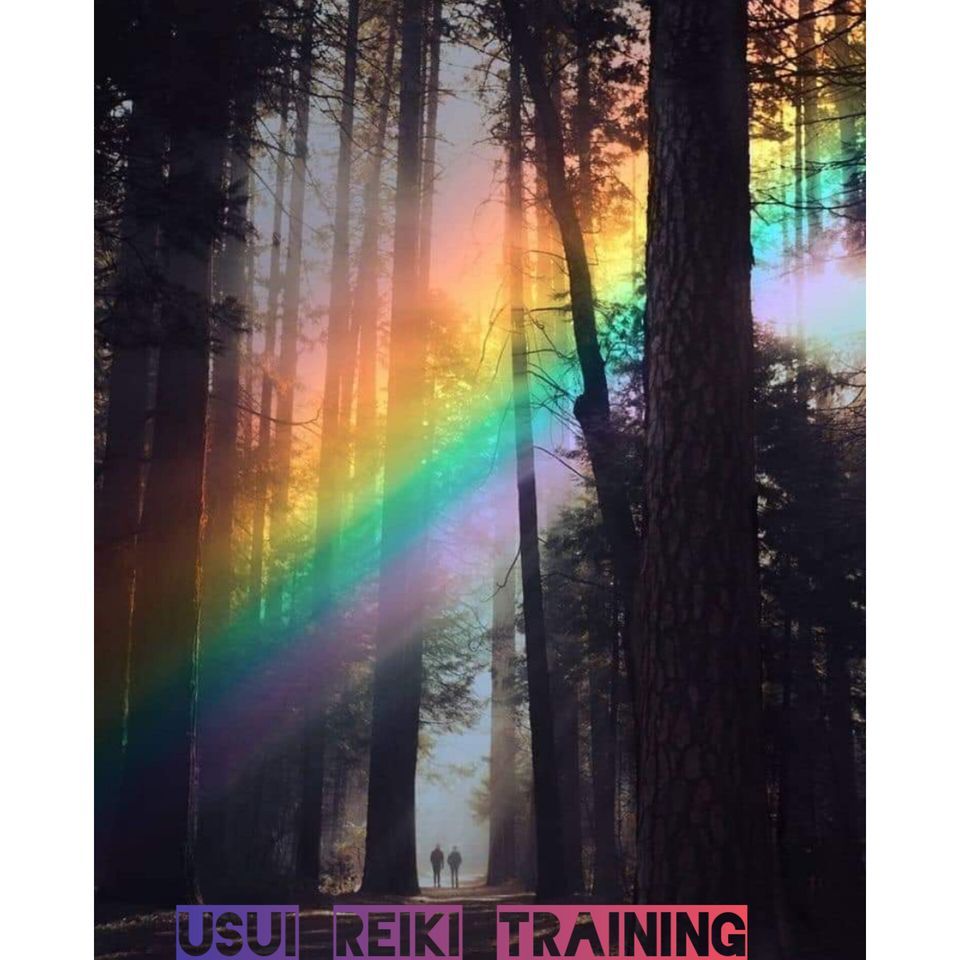 Reiki Level 1 training and attunement's with 2x bonus healing styles!