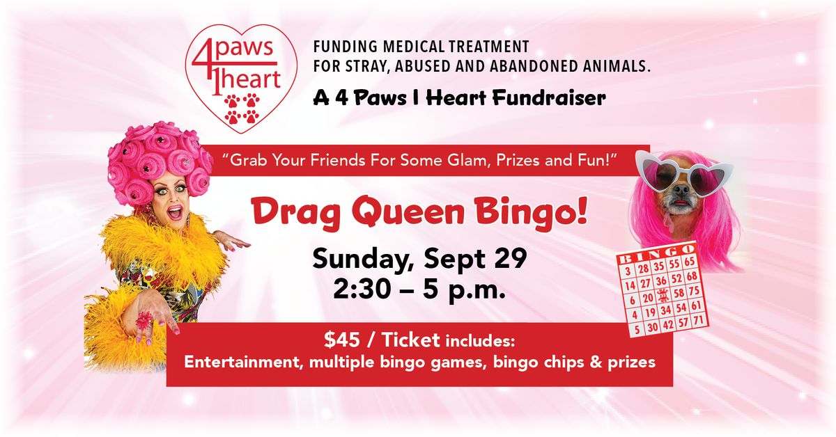 Drag Queen Bingo! \u2014 4 Paws 1 Heart fundraiser