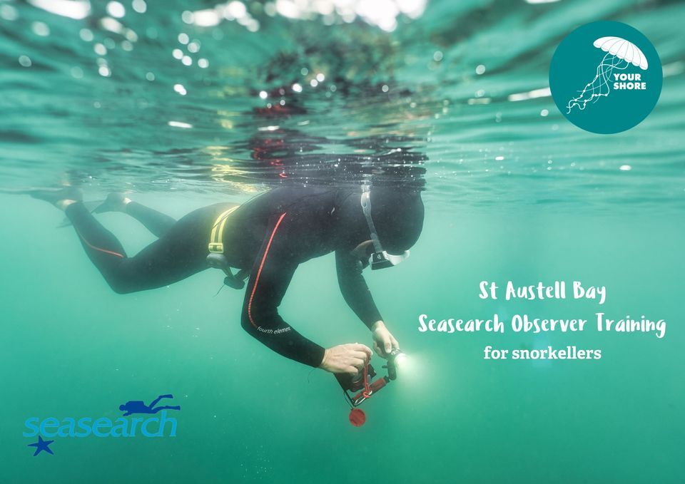 St Austell Bay Seasearch Observer Training (for snorkelers)