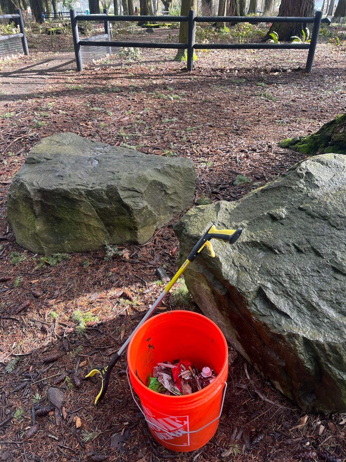 Volunteer Park Clean Up 