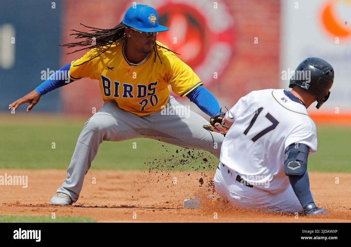 Sioux Falls Canaries vs. Kane County Cougars