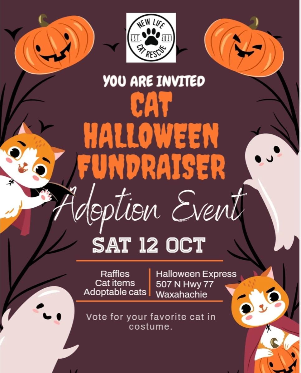 Halloween Express and New Life Cat Rescue Event