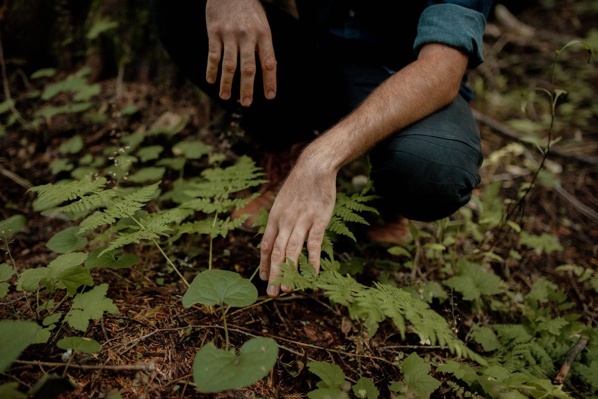 Autumn Plant Walk