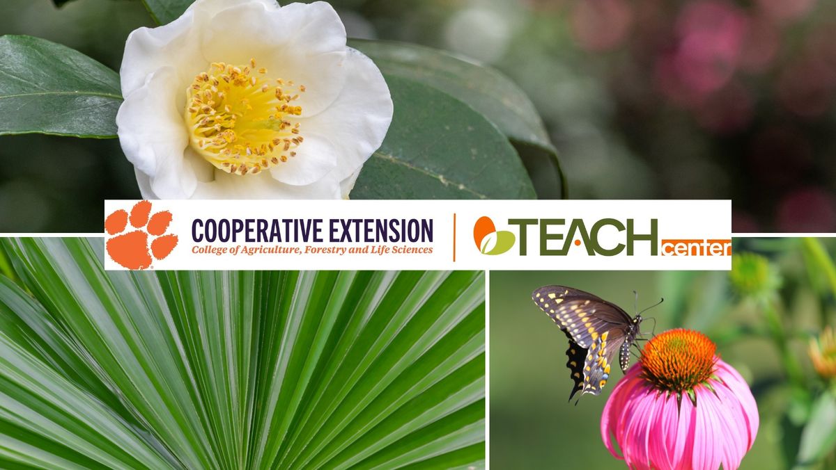 LUNCH & LEARN: Plants That Work in the Lowcountry