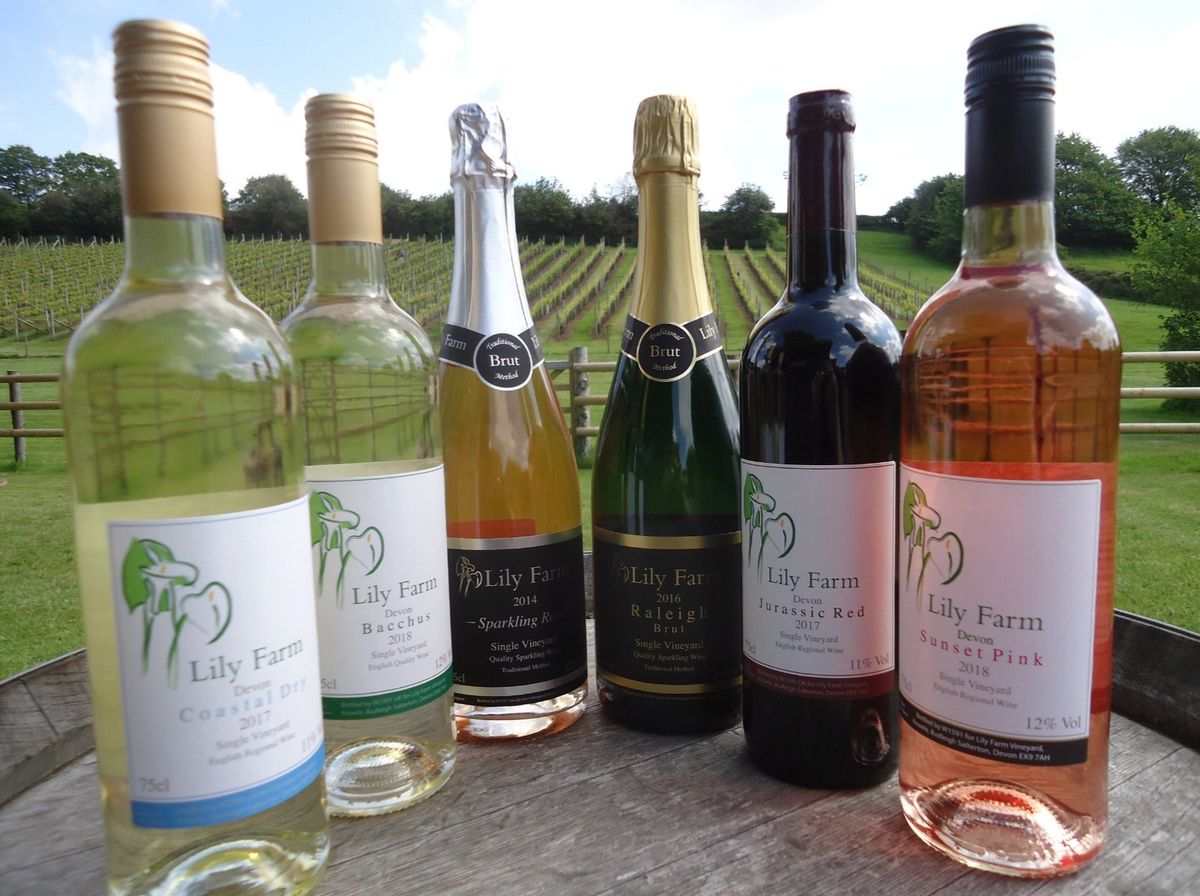 Taste East Devon Festival - Vineyard Tour and Tasting at Lily Farm Vineyard