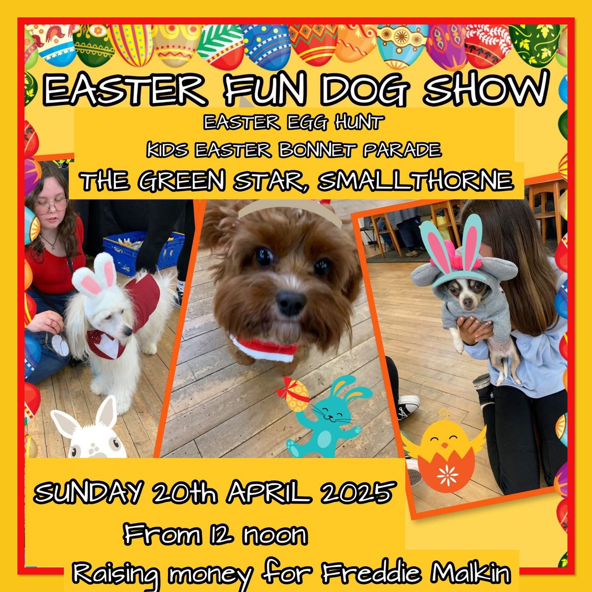 EASTER DOG SHOW FOR FREDDIE