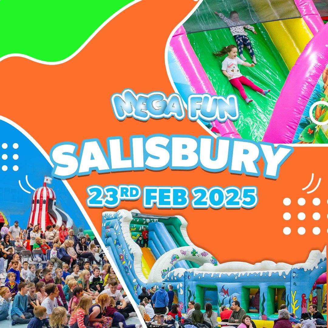 Salisbury Mega Fun Day - Sun 23rd Feb