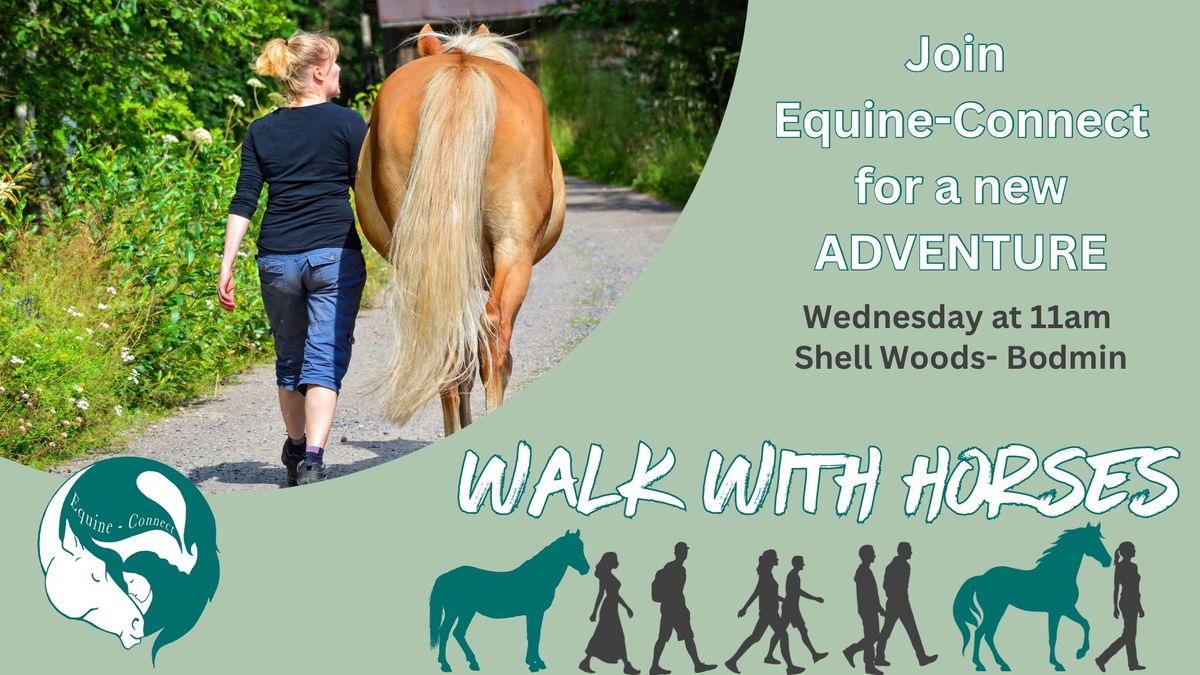 Guided Mental Well-Being Walks with Horses