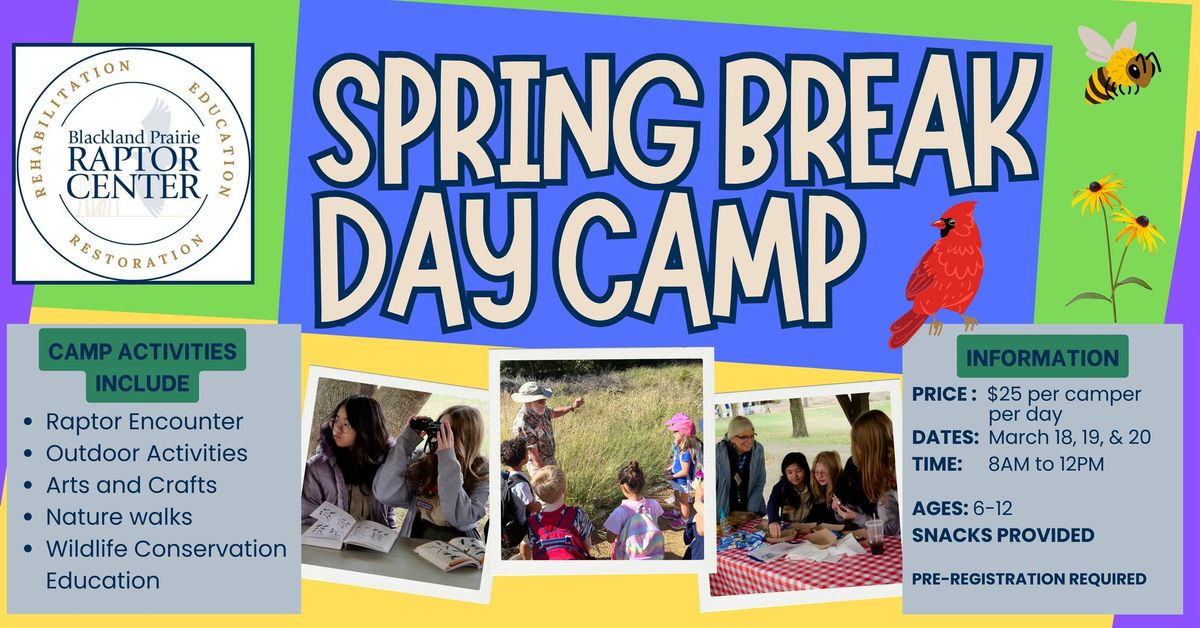 Spring Break Day Camp